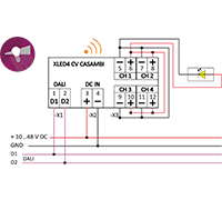 XLED4 CV Casambi - 1-4 CH Casambi+DALI LED-Converter 10-48V 