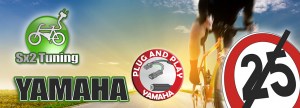 Sx2_e-bike_tuning_dongle_emotion_YAMAHA.jpg